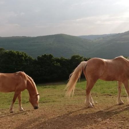 B&B Ca Montemezzano เวโรนา ภายนอก รูปภาพ
