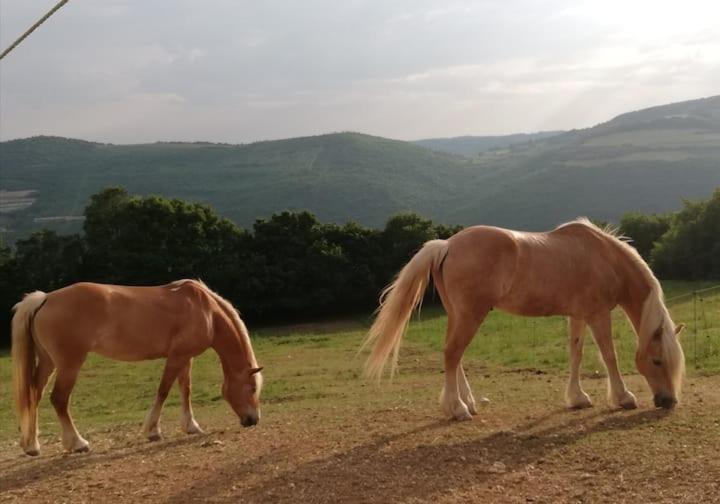 B&B Ca Montemezzano เวโรนา ภายนอก รูปภาพ