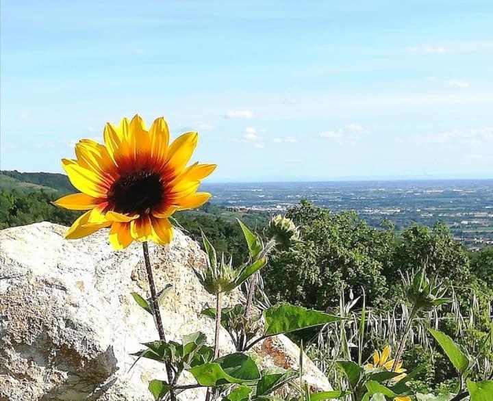 B&B Ca Montemezzano เวโรนา ภายนอก รูปภาพ