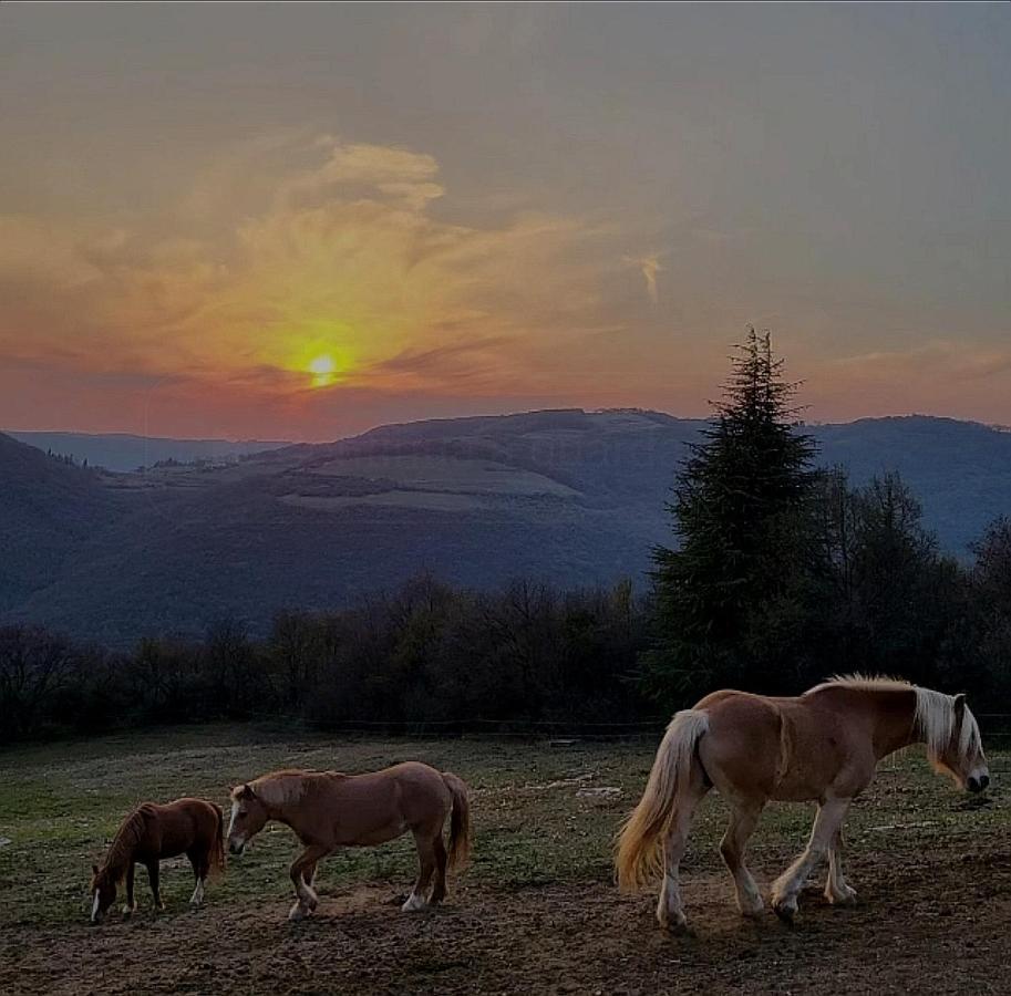 B&B Ca Montemezzano เวโรนา ภายนอก รูปภาพ